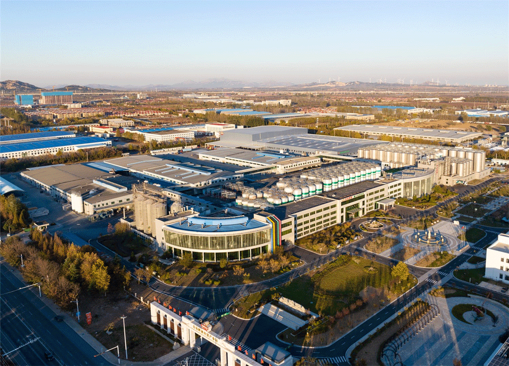 打造國內制造的全球化支點！看萬事達參與的8個精彩項目合集(圖9)